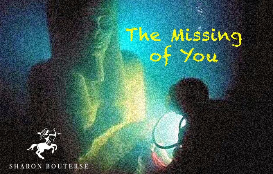 The Missing of You